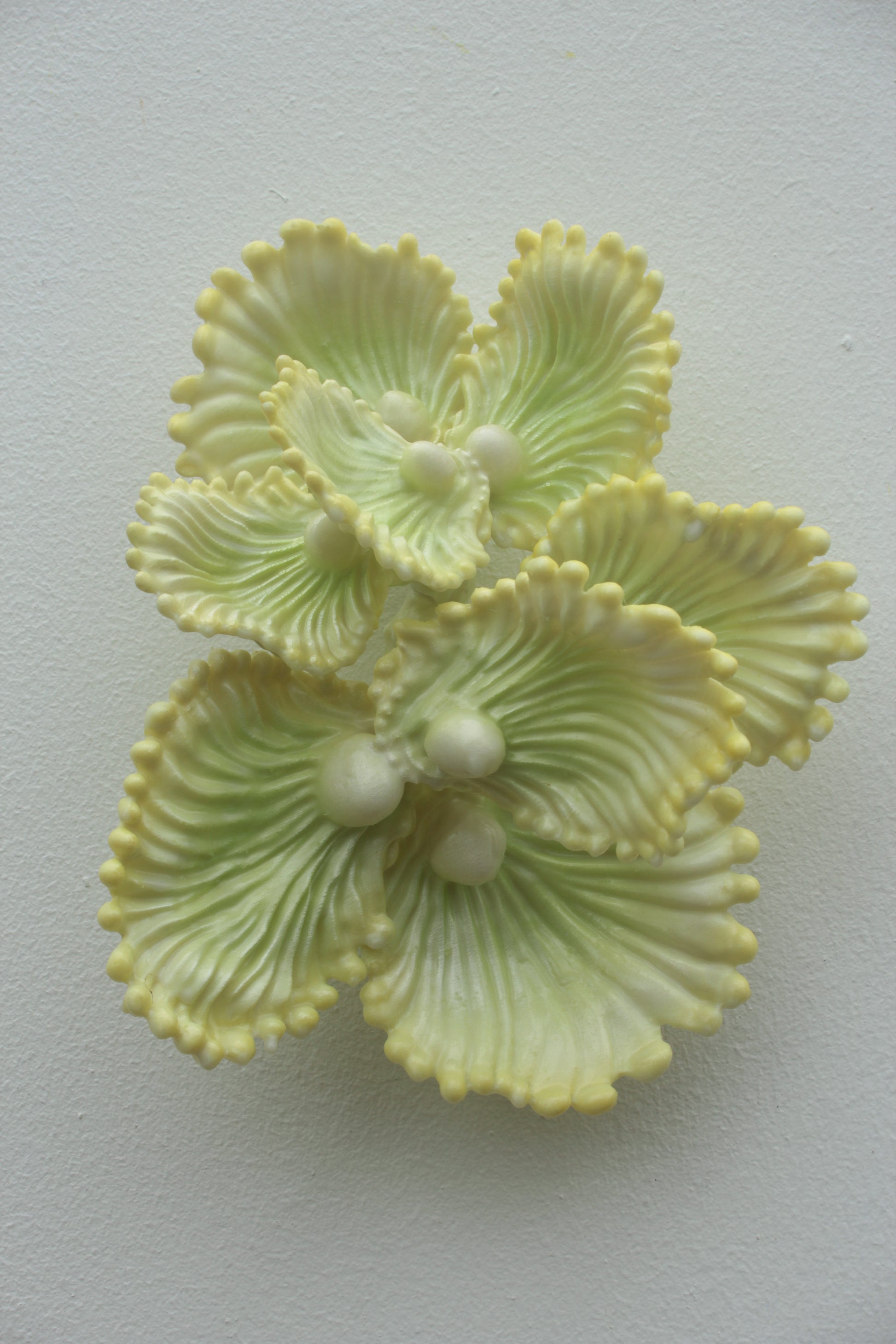 Blooming Coral No. 7 is a compact wall sculpture from Teemu Salonen’s ongoing Blooming Coral series. Smaller in scale than some of the earlier works in the series, it has an intimate, almost jewel-like presence: a clustered organic form that sits lightly on the wall while still carrying the tactile richness of a sculptural object.