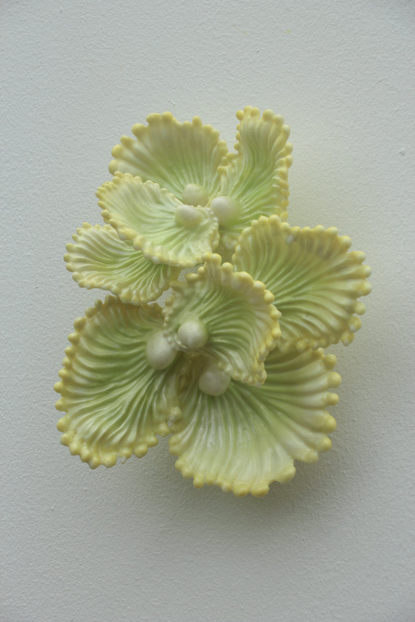 Blooming Coral No. 7 is a small wall sculpture from Teemu Salonen’s ongoing Blooming Coral series. jewel-like presence: a clustered organic form that sits lightly on the wall while still carrying the tactile richness of a sculptural object.