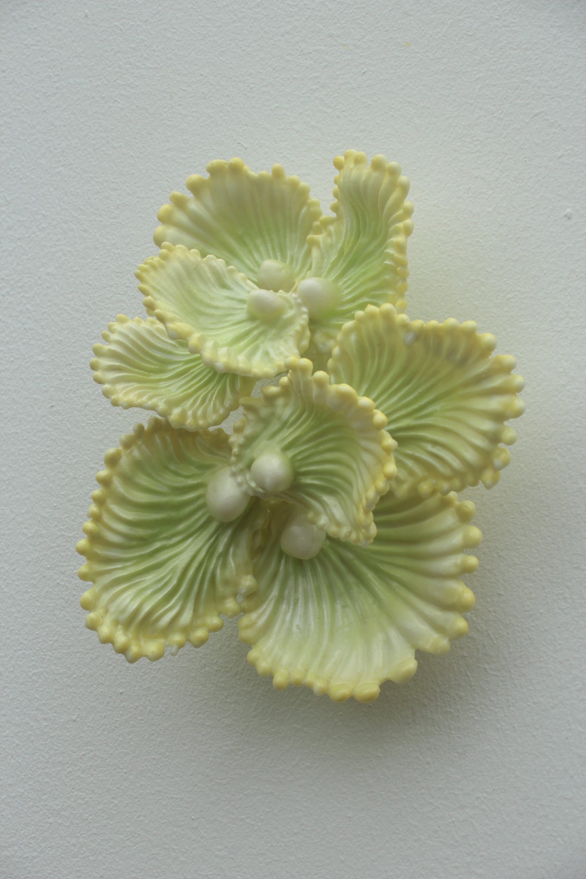 Blooming Coral No. 7 is a small wall sculpture from Teemu Salonen’s ongoing Blooming Coral series. jewel-like presence: a clustered organic form that sits lightly on the wall while still carrying the tactile richness of a sculptural object.