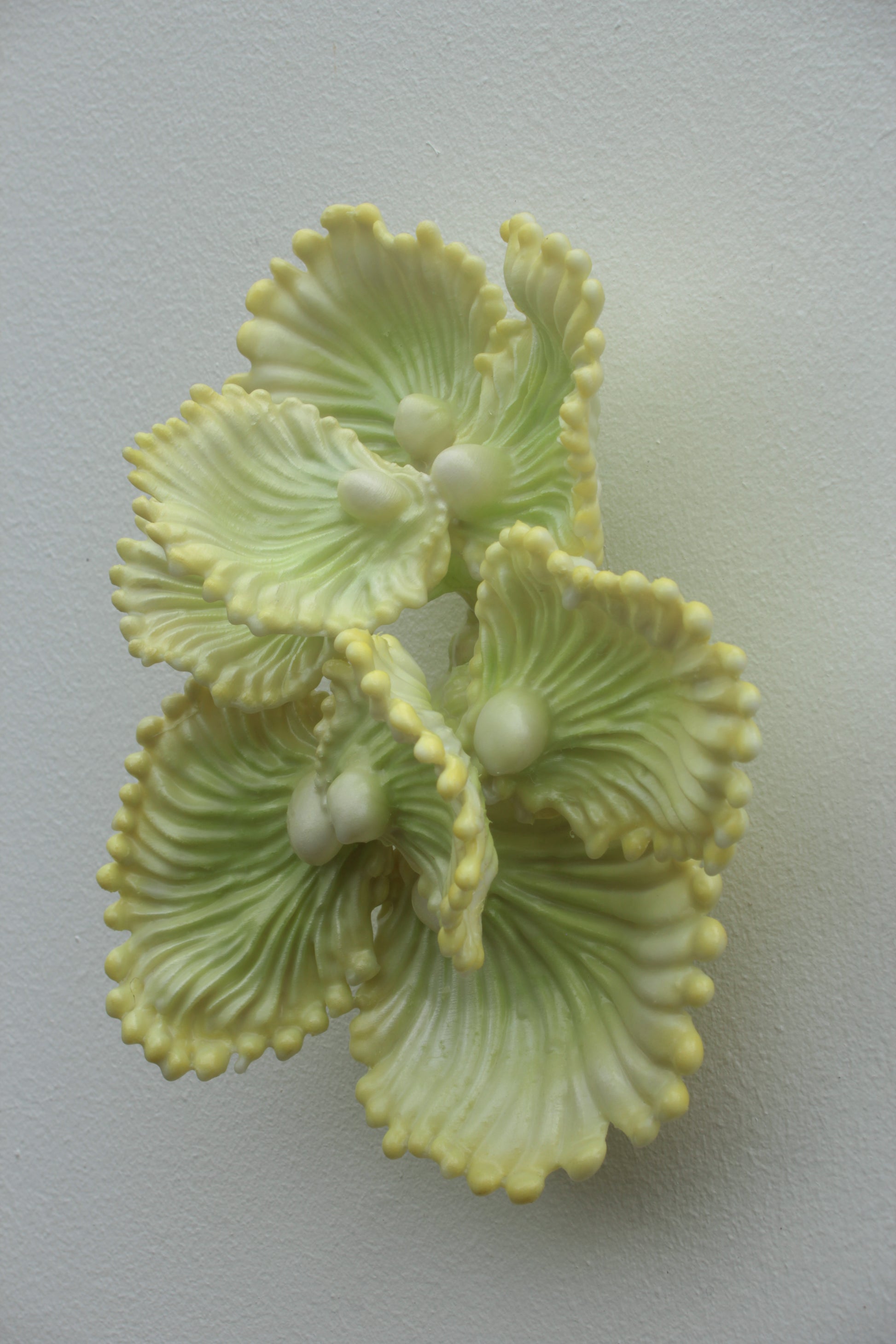 Blooming Coral No. 7 is a small wall sculpture from Teemu Salonen’s ongoing Blooming Coral series. jewel-like presence: a clustered organic form that sits lightly on the wall while still carrying the tactile richness of a sculptural object. 3d-printed PLA, polyester resin, airbrush paint