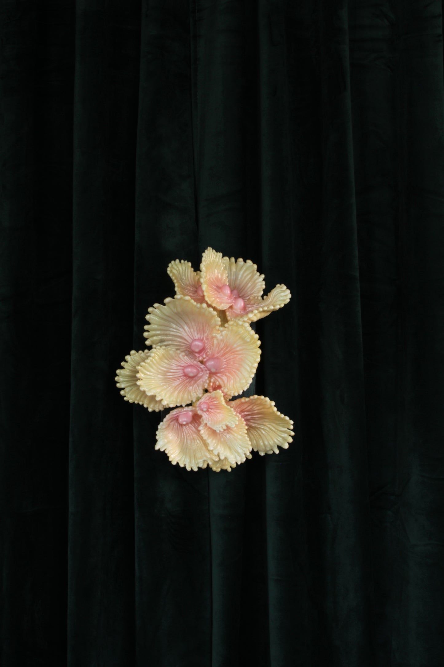 Blooming Coral nro 3 — wall sculpture by Teemu Salonen, front view