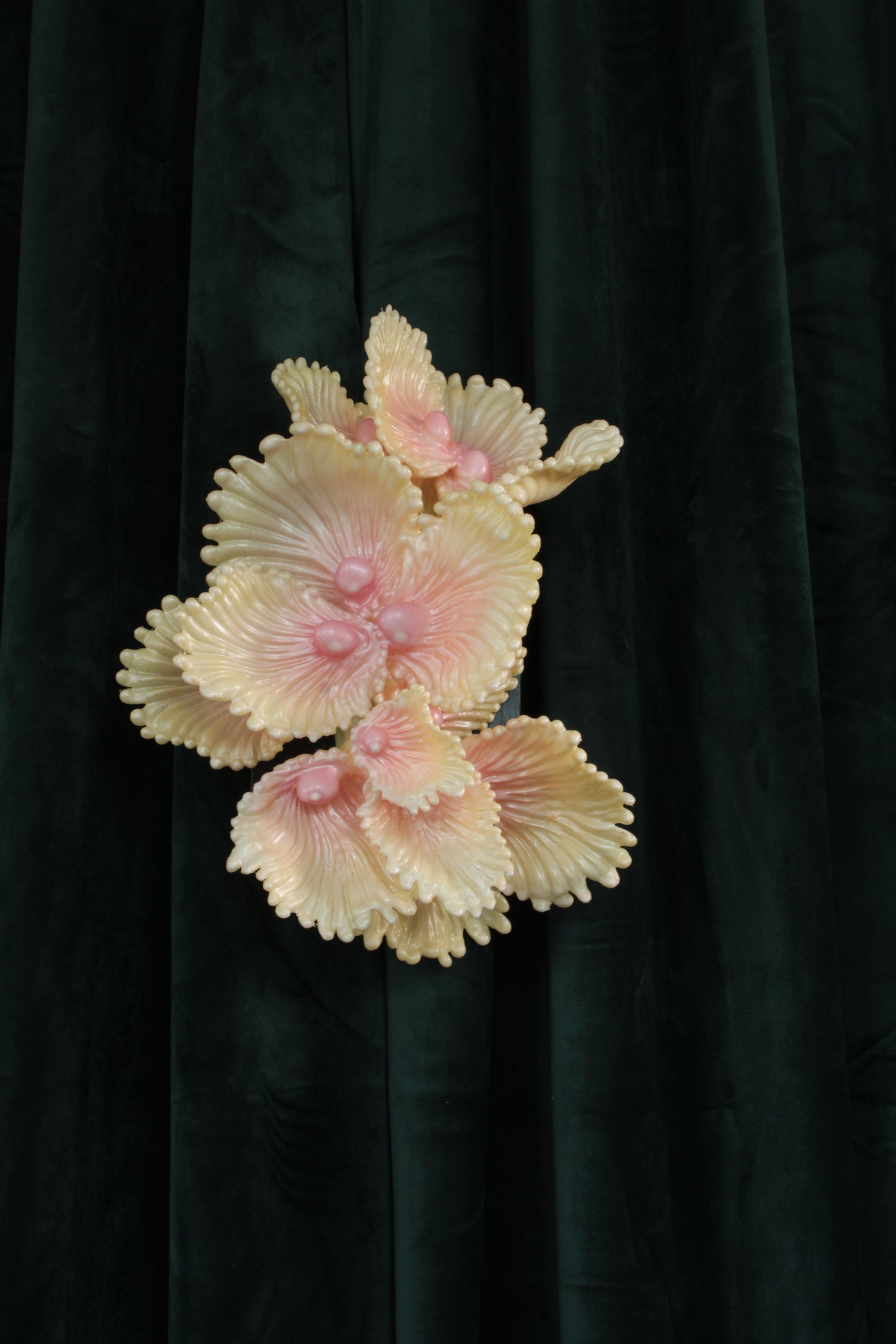 Blooming Coral nro 3 — wall sculpture by Teemu Salonen, three-quarter view