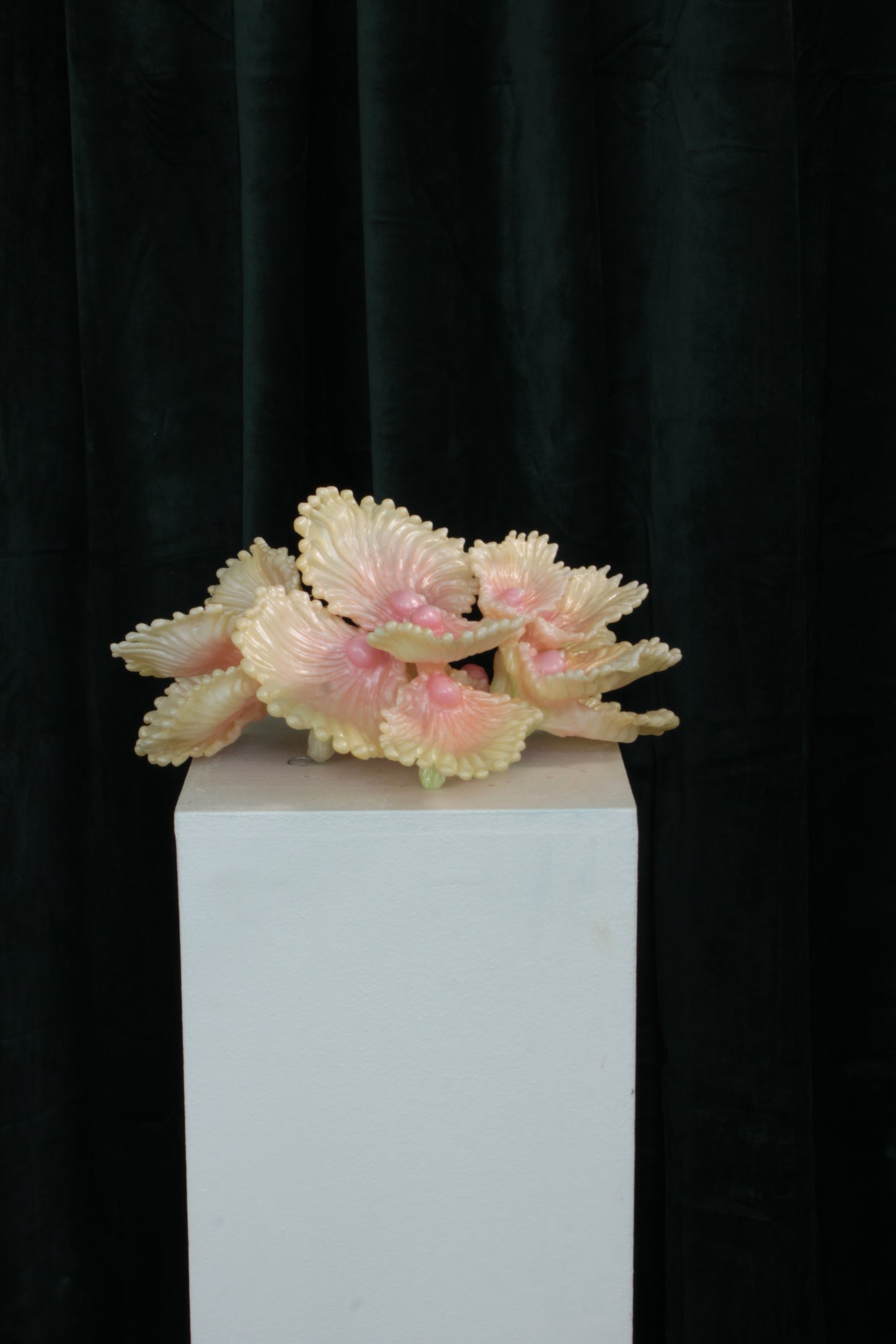 Blooming Coral nro 3 — wall sculpture by Teemu Salonen, installed on wall, full view