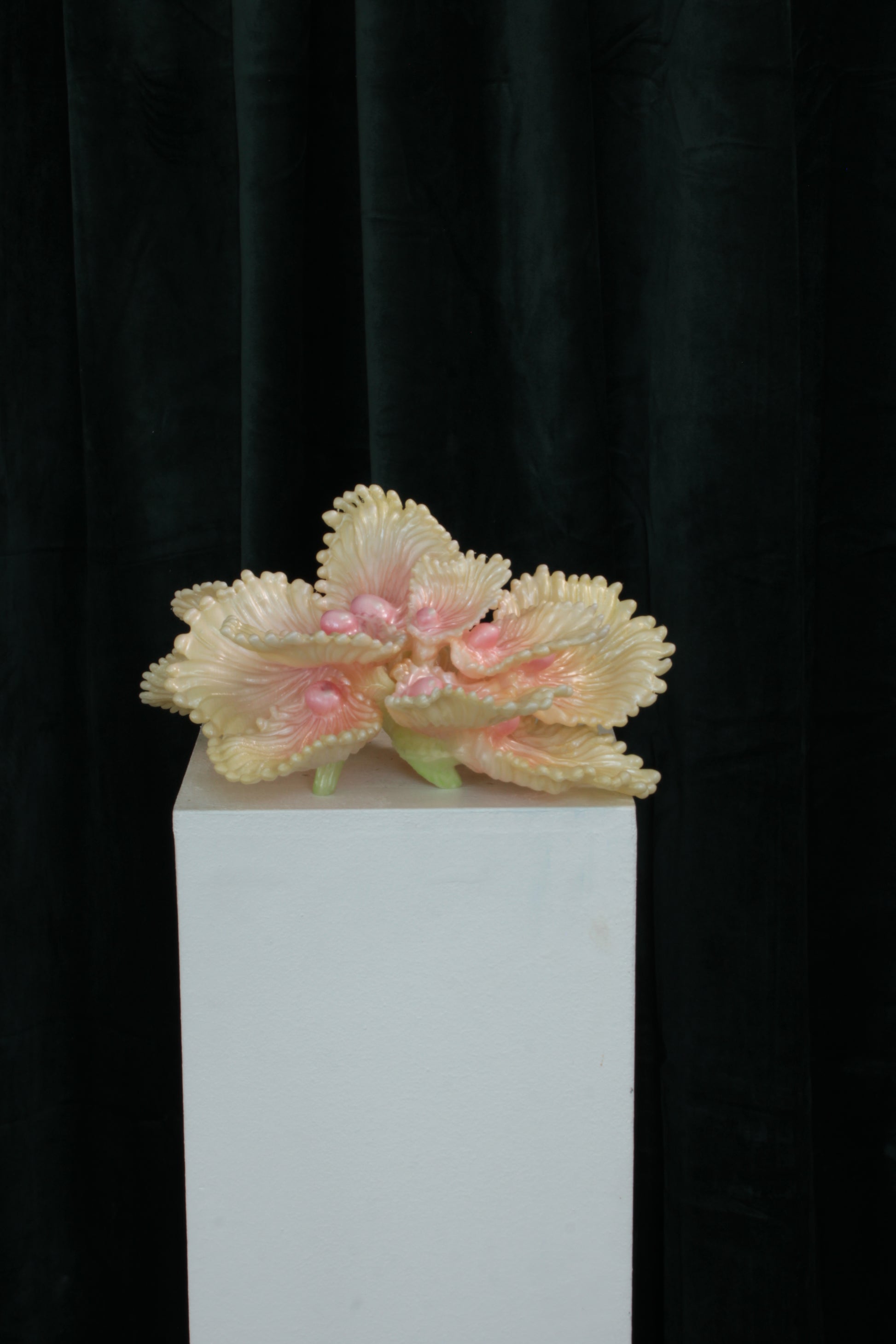 Blooming Coral nro 3 — wall sculpture by Teemu Salonen, installed on wall, angled view