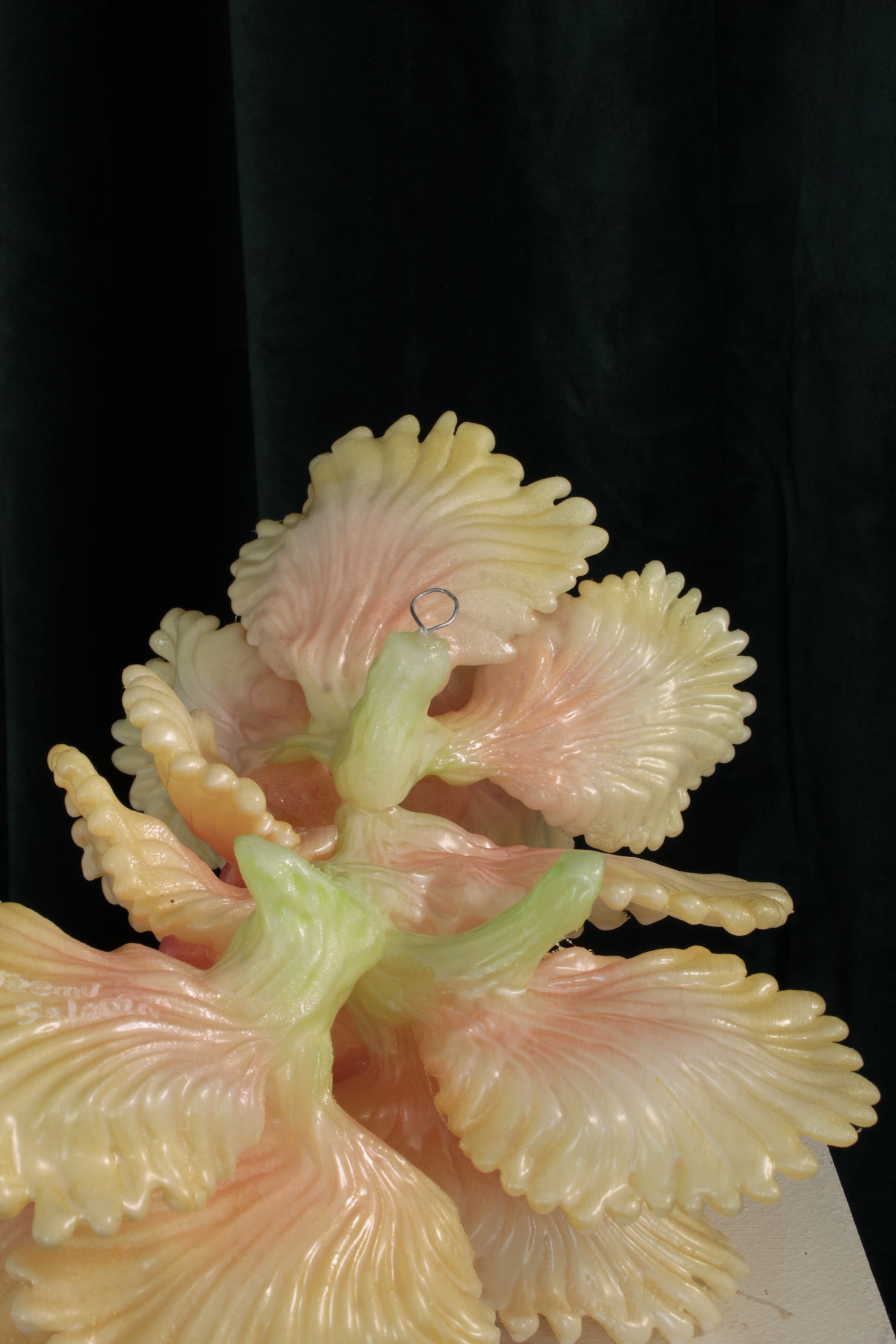 Blooming Coral nro 3 — wall sculpture by Teemu Salonen, displayed on table, front view
