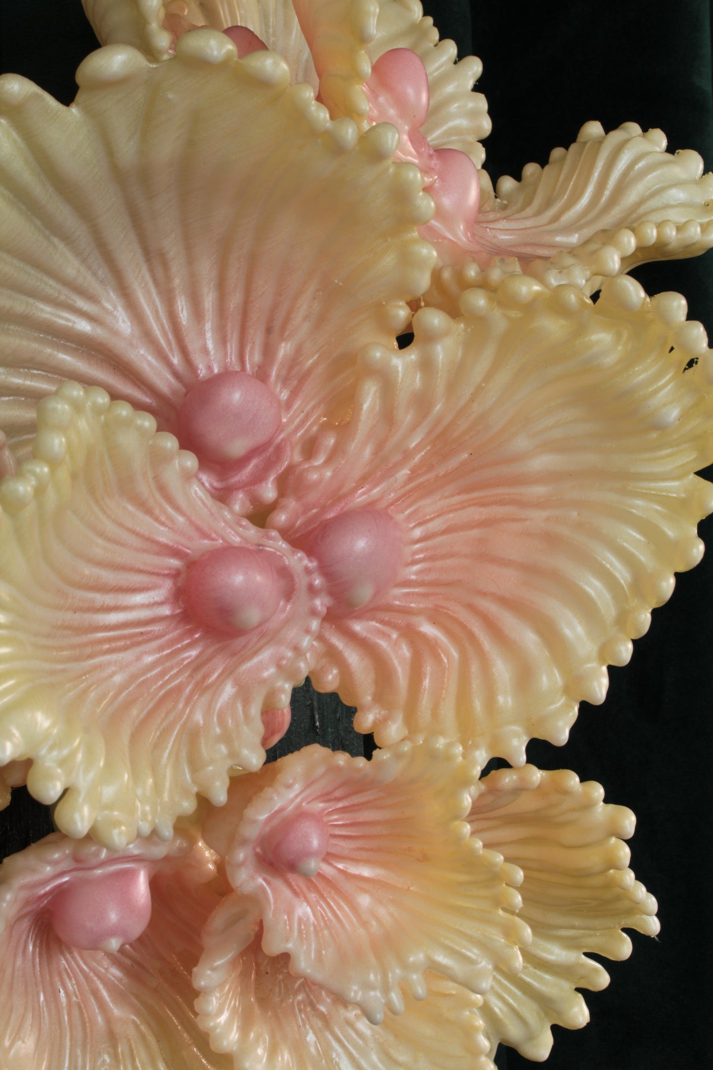 Blooming Coral nro 3 — wall sculpture by Teemu Salonen, displayed on table, side view
