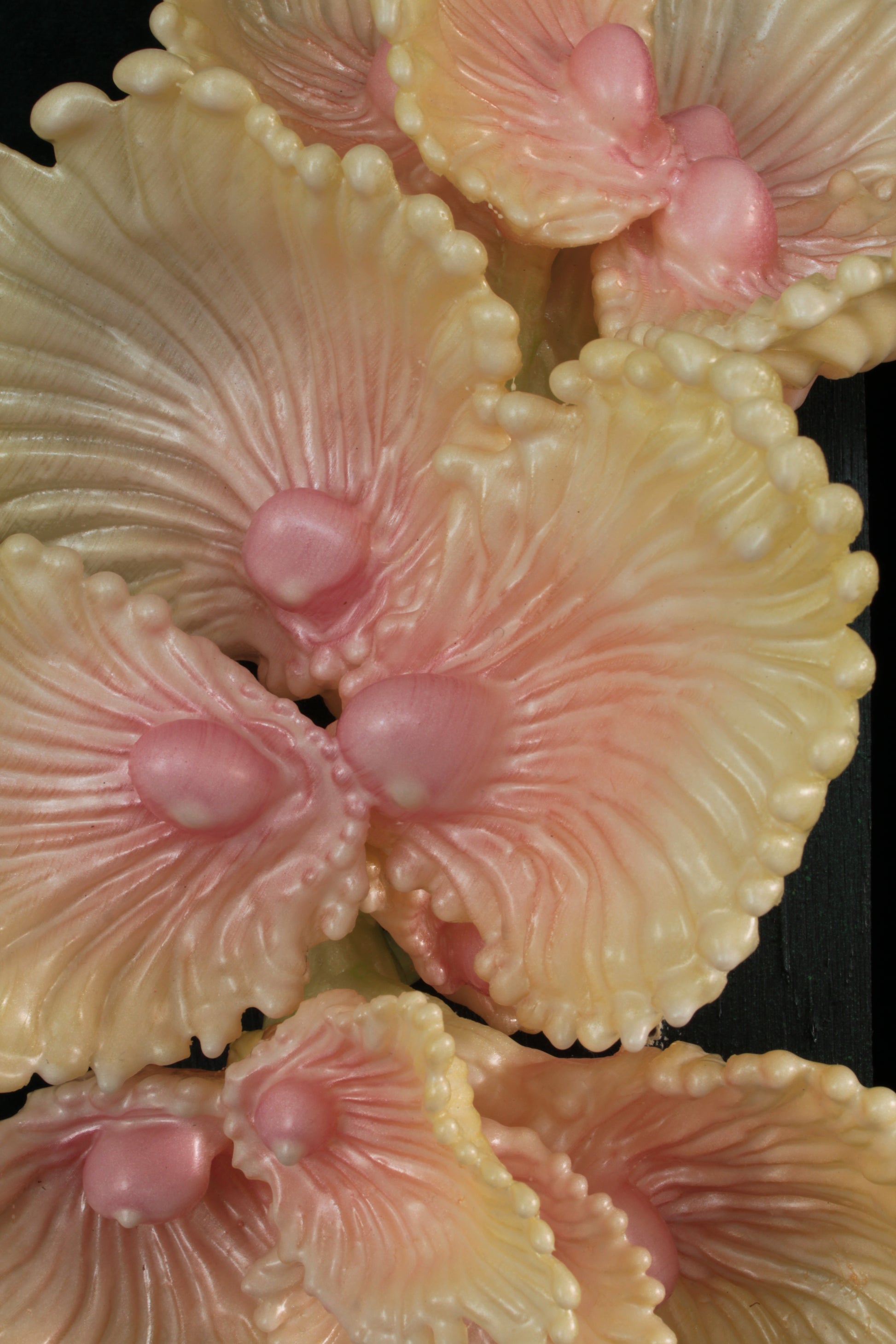 Blooming Coral nro 3 — wall sculpture by Teemu Salonen, detail of organic form