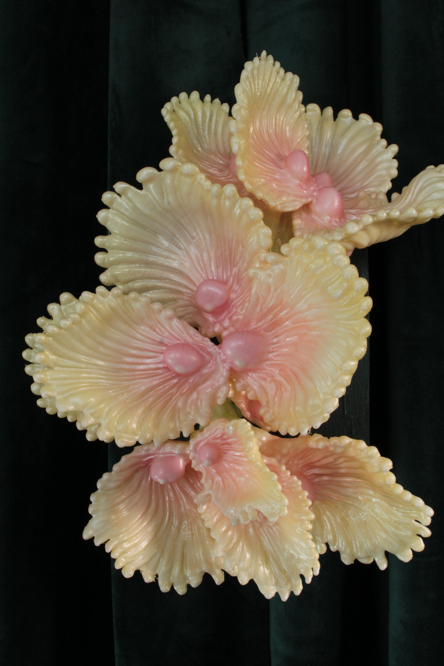 Blooming Coral nro 3 — wall sculpture by Teemu Salonen, back view showing metal hanging loop