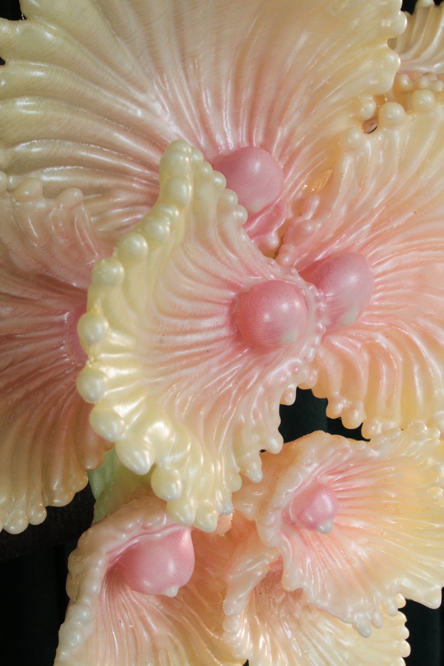 Blooming Coral nro 3 — wall sculpture by Teemu Salonen, scale reference view