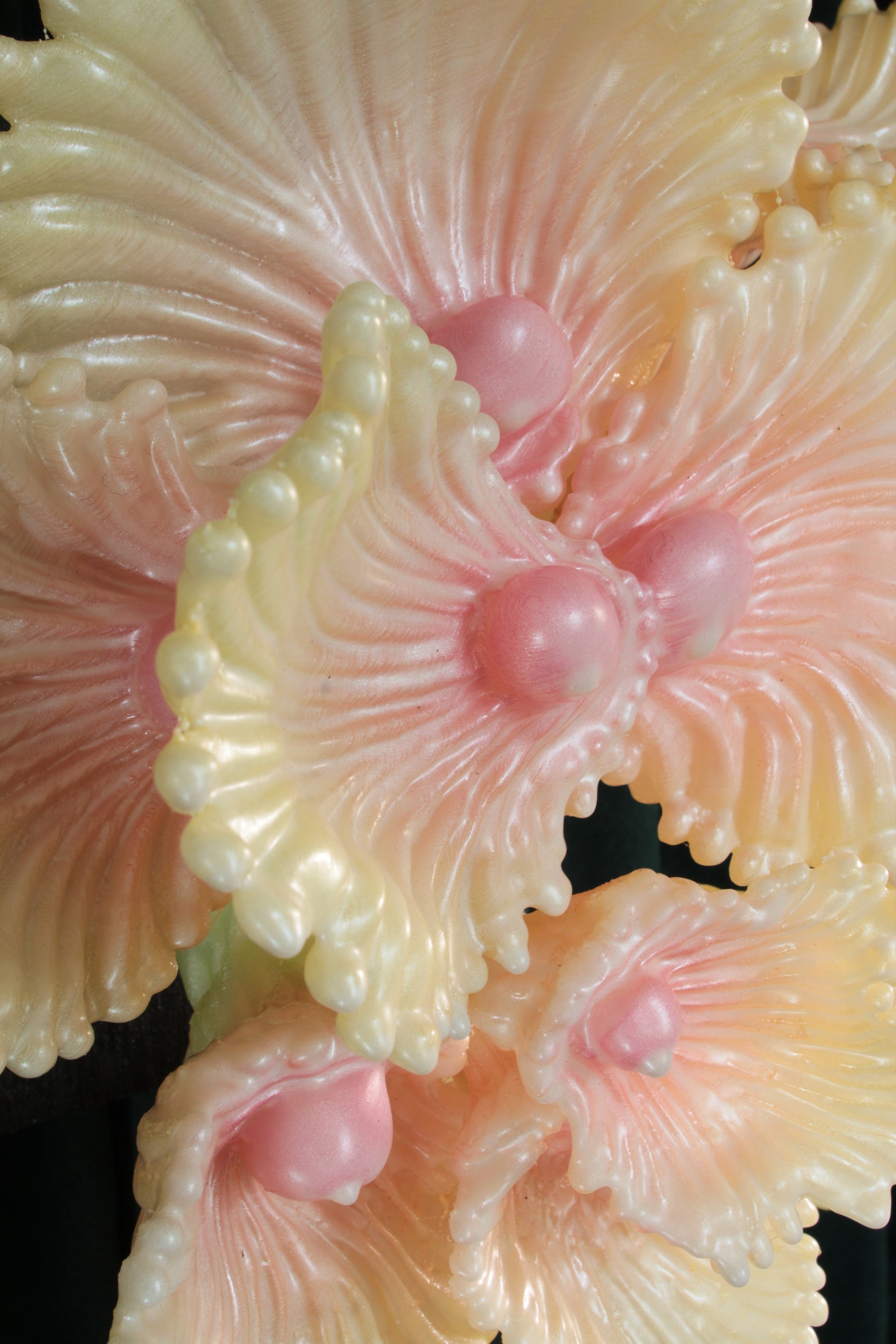 Blooming Coral nro 3 — wall sculpture by Teemu Salonen, scale reference view