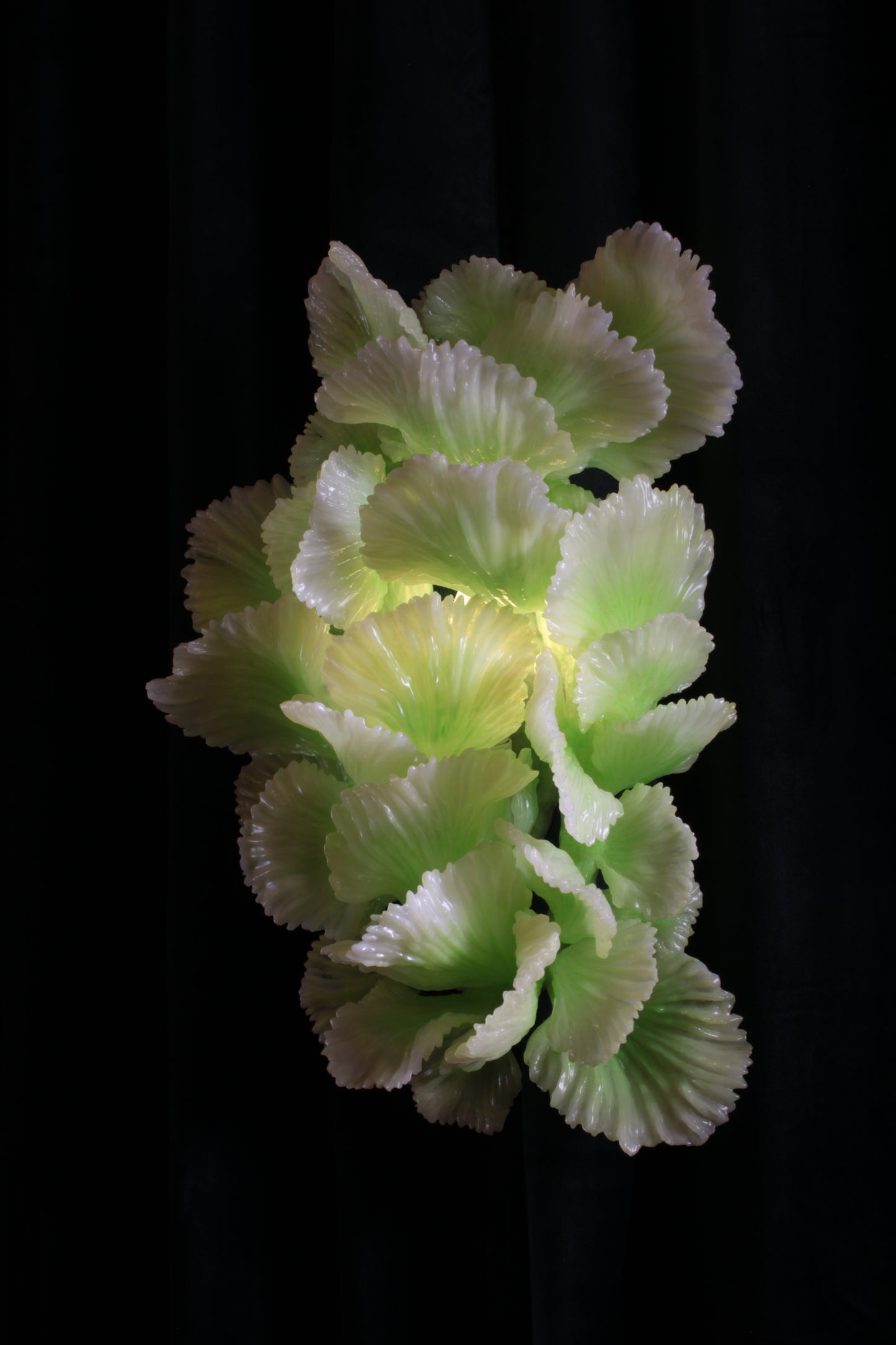 CHINESE RESTAURANT transparent