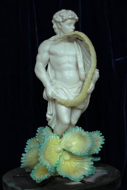veistos