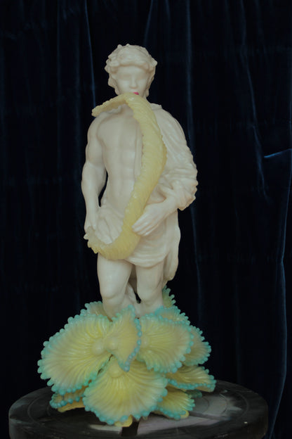 veistos