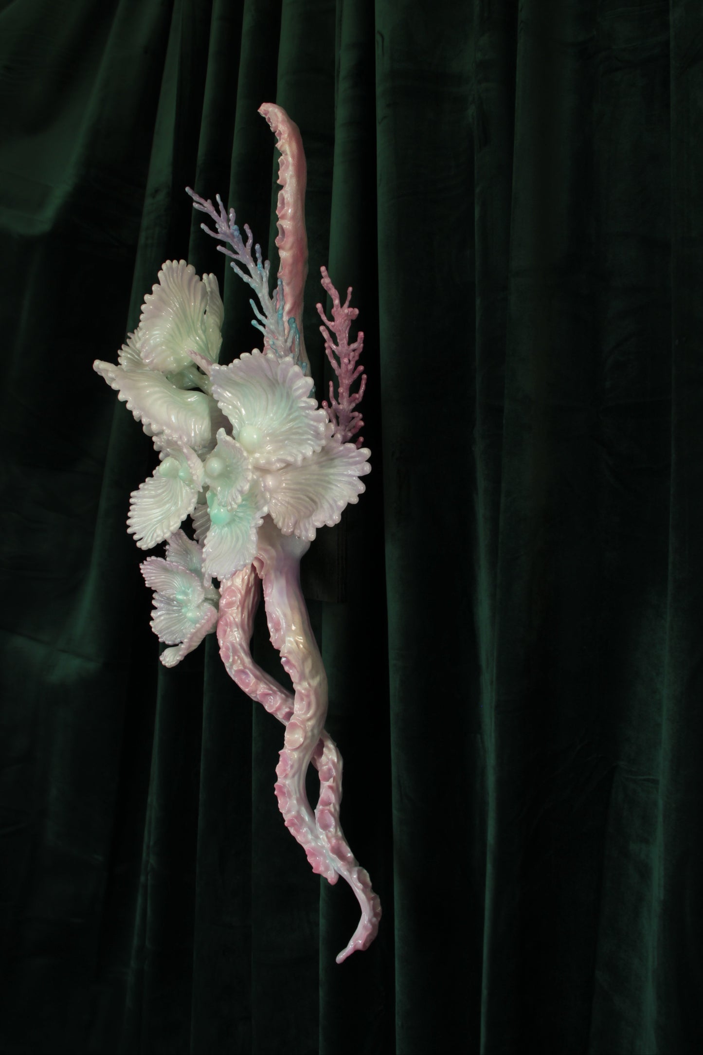 MEDUUSA
