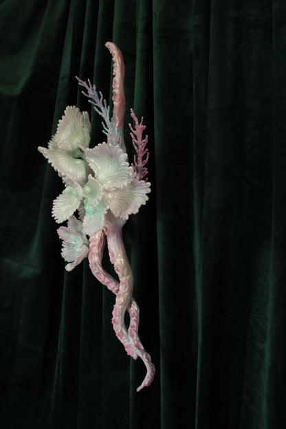 MEDUUSA