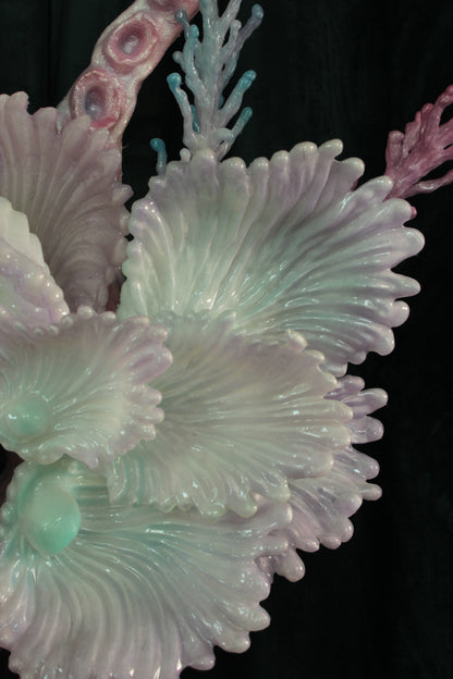 MEDUUSA