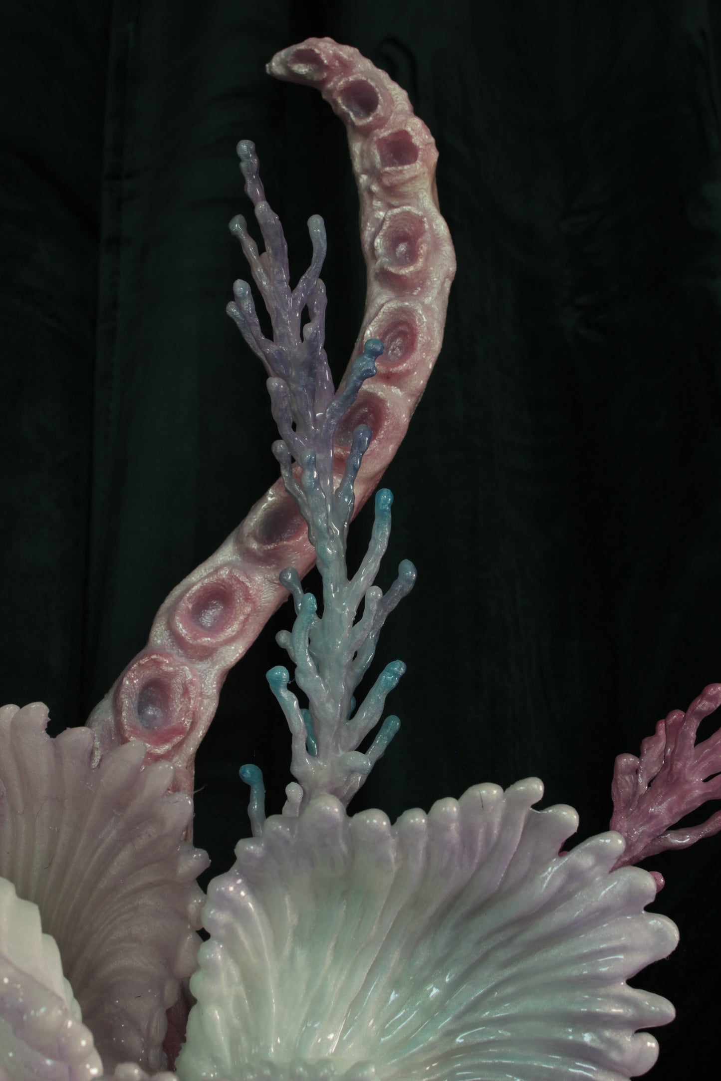 MEDUUSA