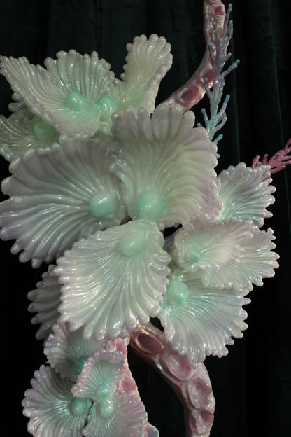 MEDUUSA