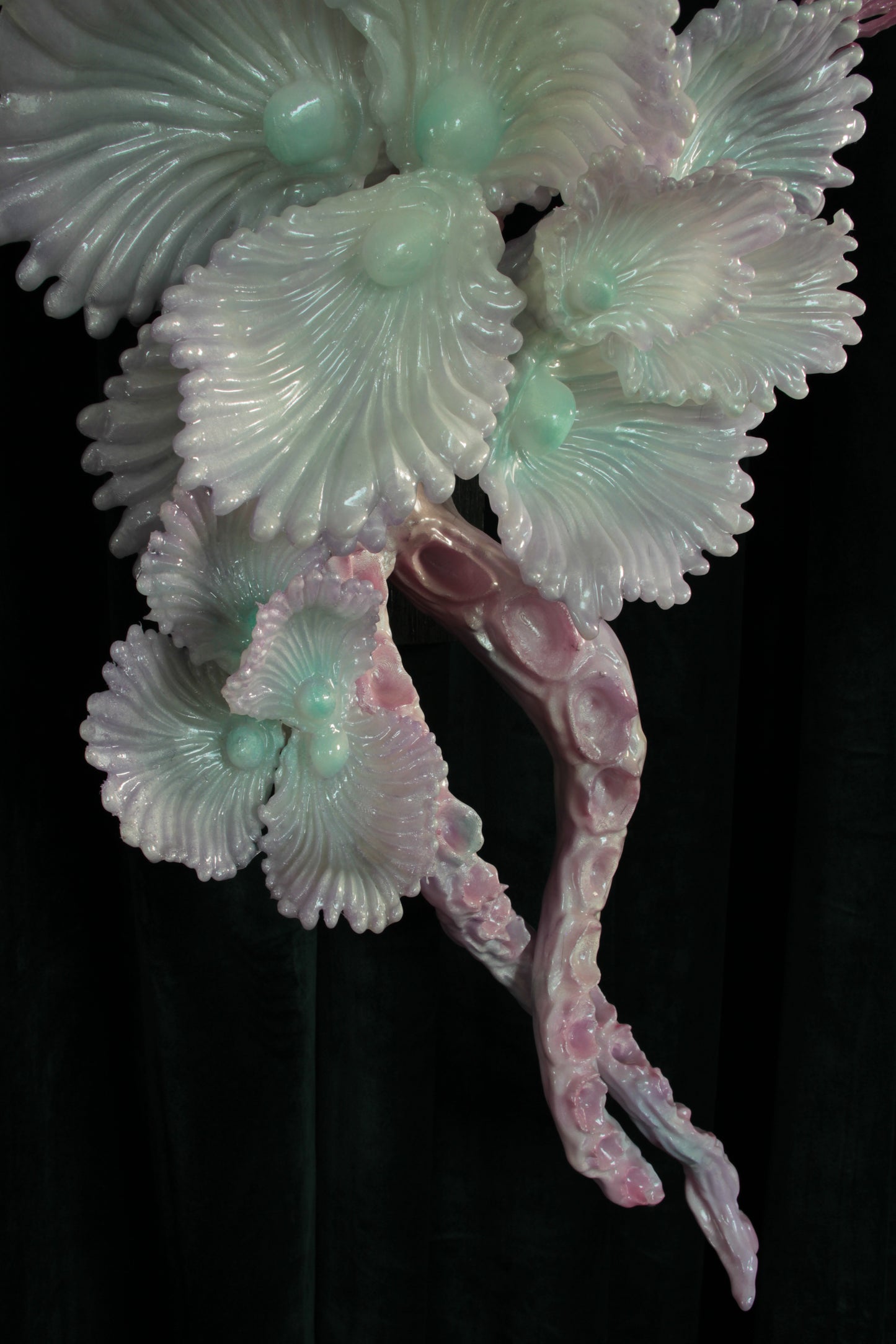 MEDUUSA