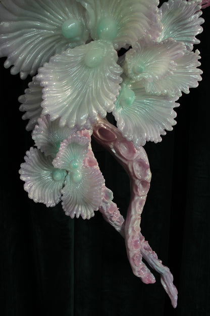 MEDUUSA
