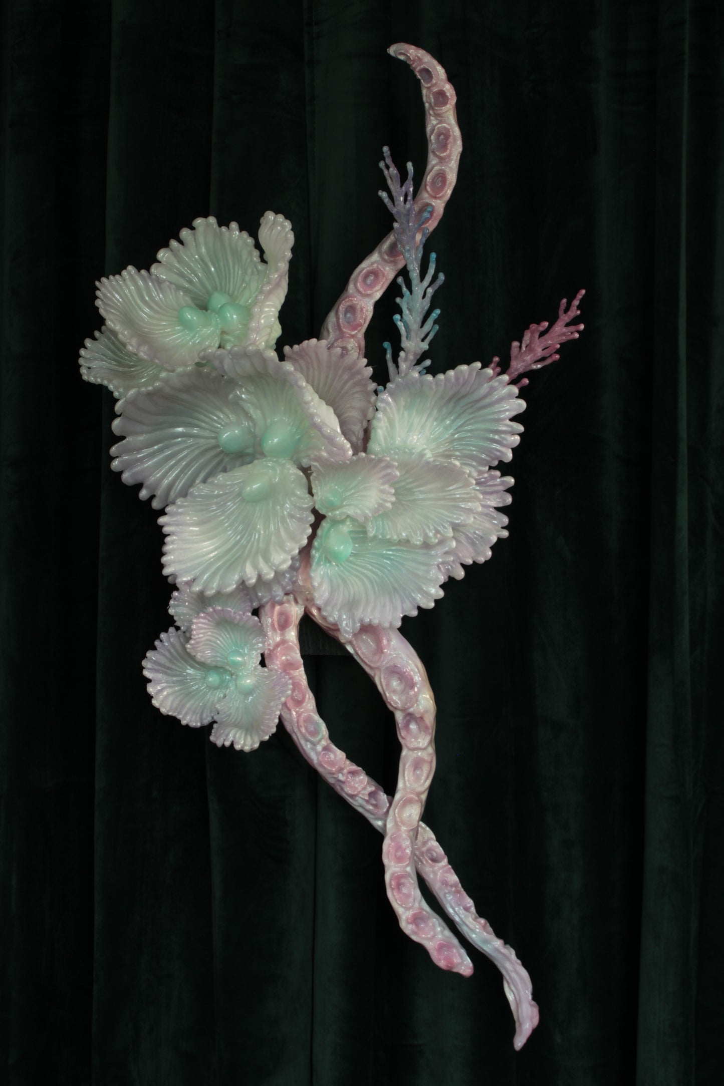 MEDUUSA