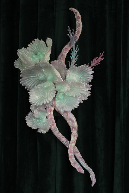 MEDUUSA